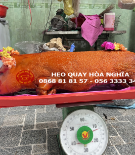 Heo lớn 12kg quay nguyên con da nổ cốm 