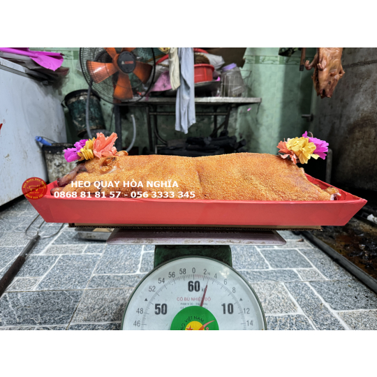 Heo sữa quay size 3kg nổ cốm 