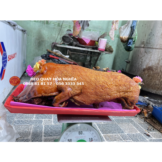 Heo rừng lai lớn quay nguyên con