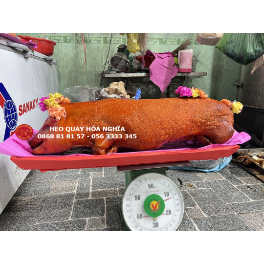 Heo lớn 12kg quay nguyên con da nổ cốm 
